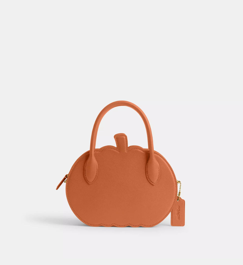 NWT Coach Pumpkin Bag In Leather With Dust Bag