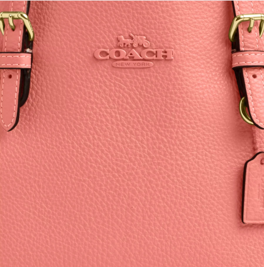 NWT Coach Leather Mollie Tote Bag 25 In Gold/ Coral