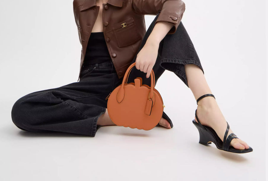 NWT Coach Pumpkin Bag In Leather With Dust Bag
