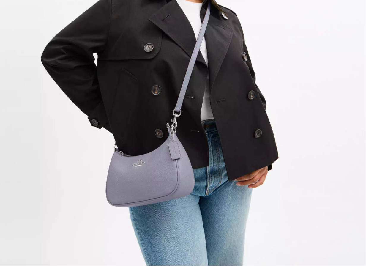 NWT Coach Leather Teri Shoulder Bag In Silver/Mist