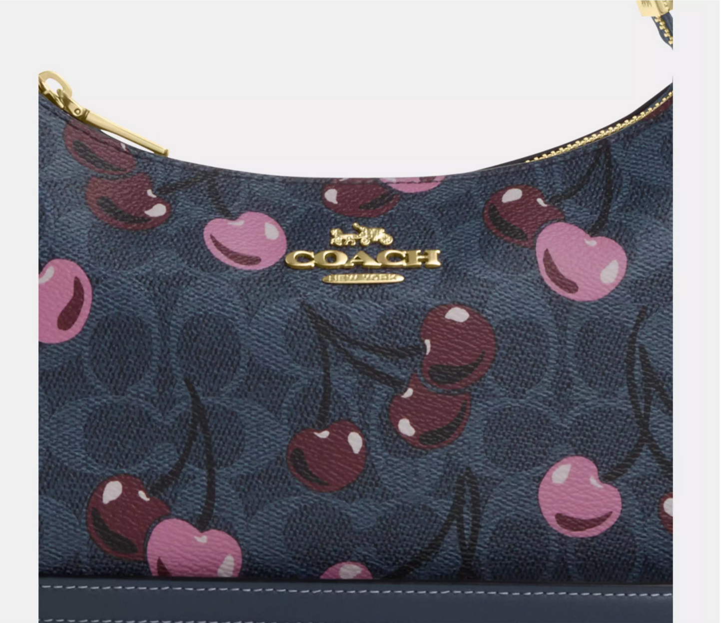 NWT Coach Teri Shoulder Bag In Signature Canvas With Cherry Print