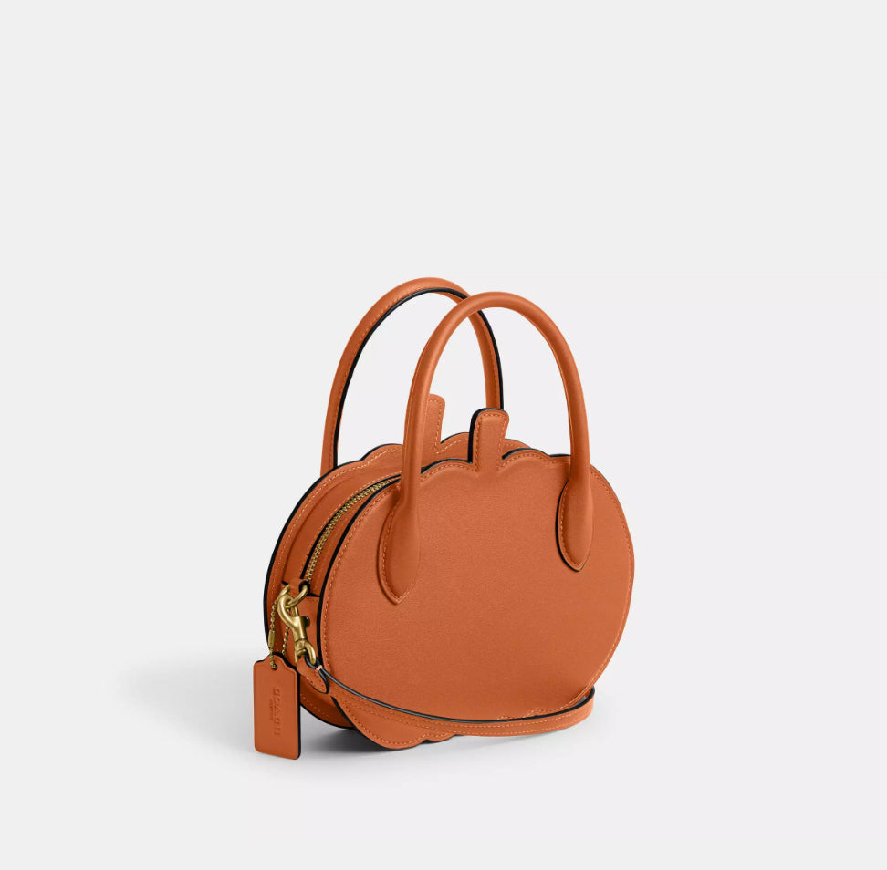 NWT Coach Pumpkin Bag In Leather With Dust Bag
