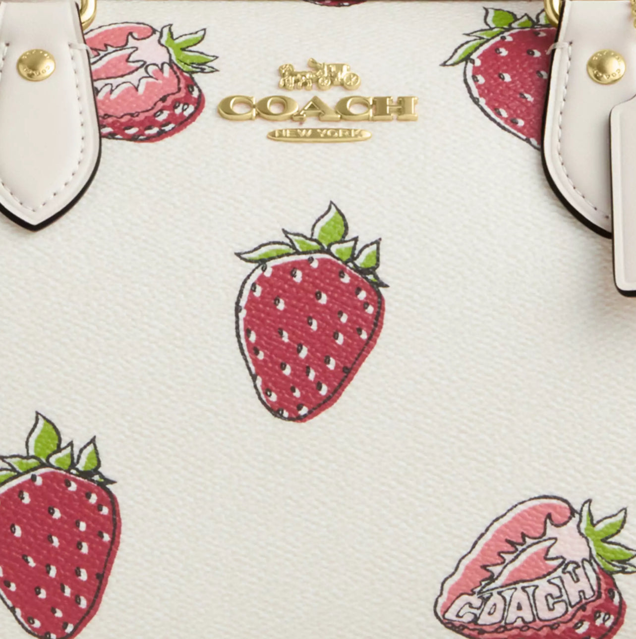 NWT Coach Rowan Satchel Bag with Strawberry Print