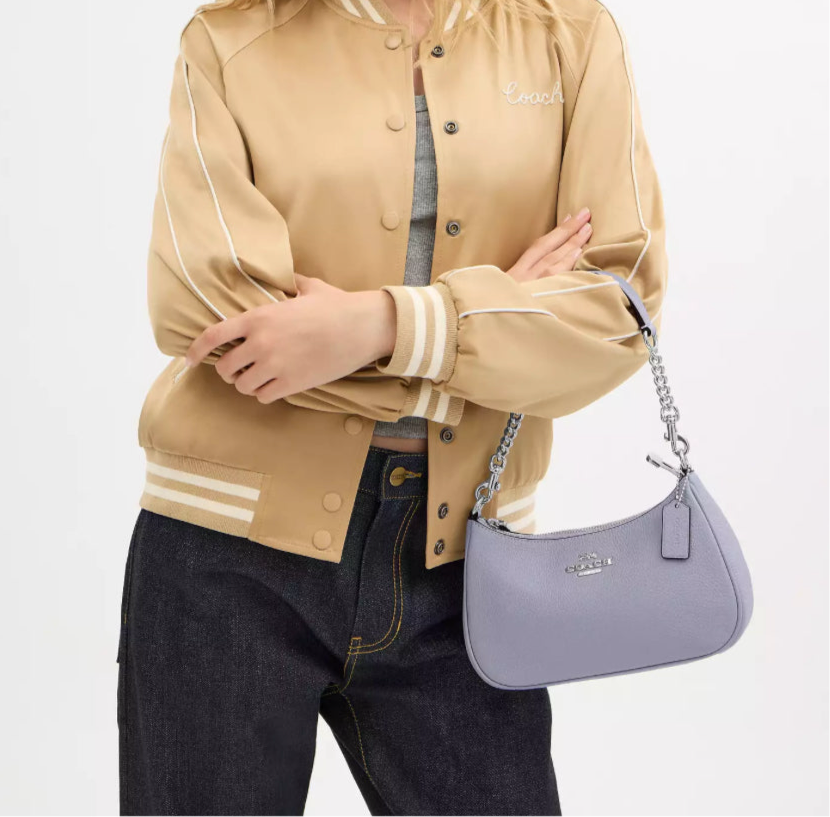 NWT Coach Leather Teri Shoulder Bag In Silver/Mist