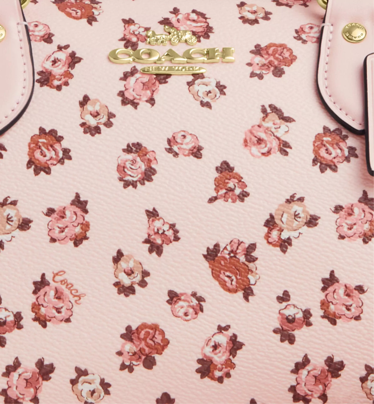 NWT Coach Rowan Satchel Bag
With Rose Print