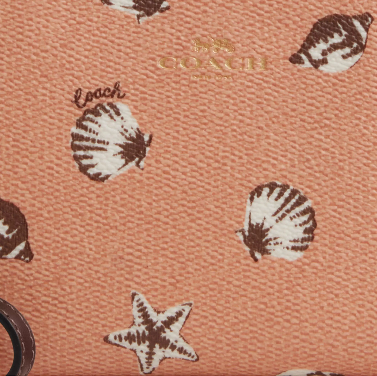NWT Coach Corner Zip Wristlet With Shell Print