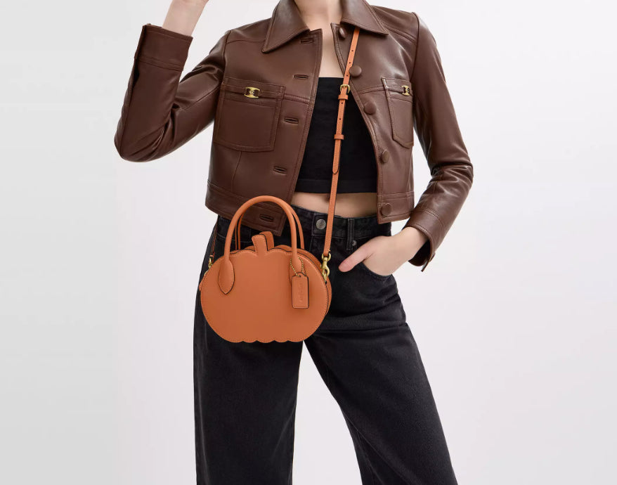 NWT Coach Pumpkin Bag In Leather With Dust Bag