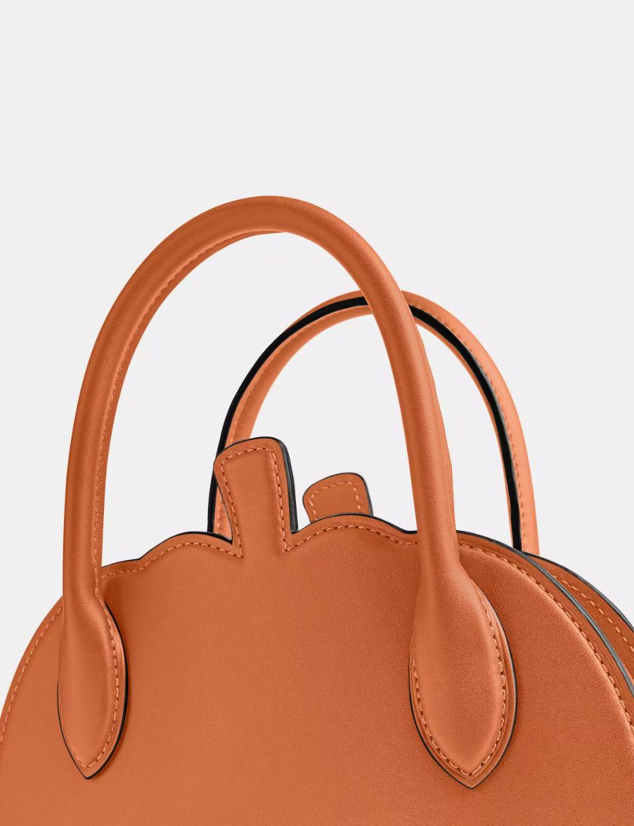 NWT Coach Pumpkin Bag In Leather With Dust Bag