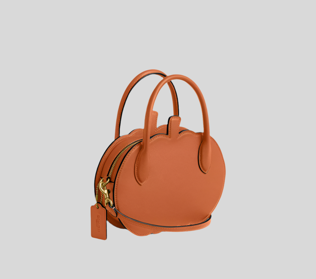 NWT Coach Pumpkin Bag In Leather