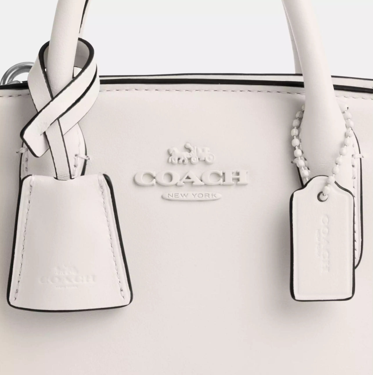 Coach Mini Andrea Carryall in Leather