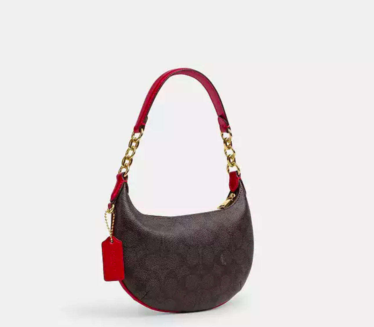 Coach Mini Payton Hobo Bag With Signature Canvas & Leather