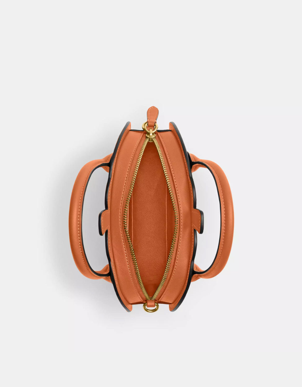 NWT Coach Pumpkin Bag In Leather With Dust Bag