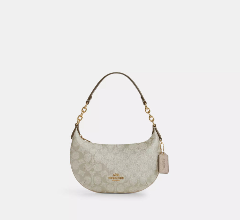 Coach Mini Payton Bag In Signature Canvas